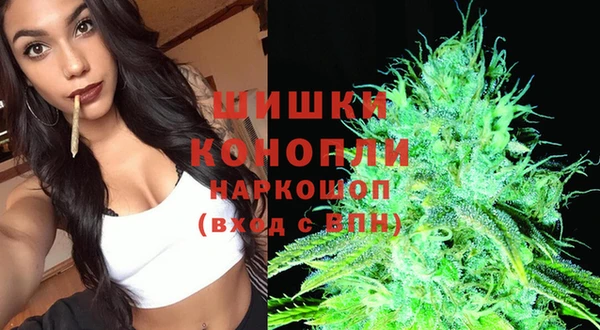 гидра Абаза