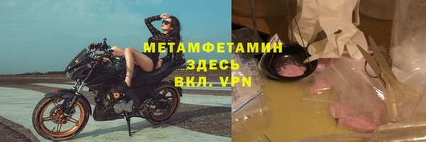 гидра Абаза
