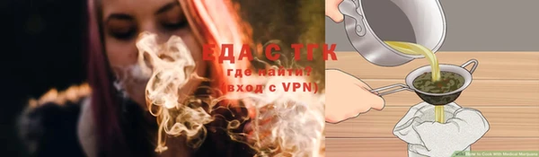 гидра Абаза