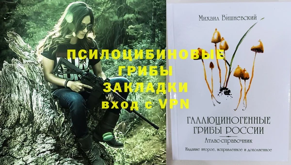 mix Алексеевка