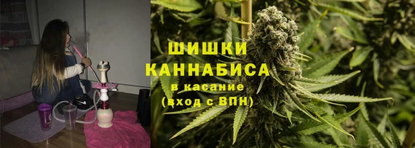 гидра Абаза