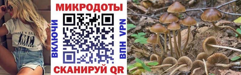 Псилоцибиновые грибы MAGIC MUSHROOMS  Новопавловск 