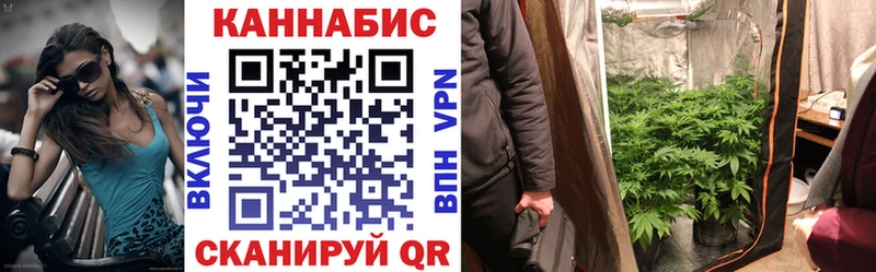 Канабис план Новопавловск